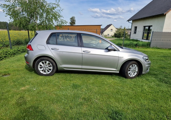 Volkswagen Golf cena 72000 przebieg: 32000, rok produkcji 2017 z Ciechanowiec małe 742